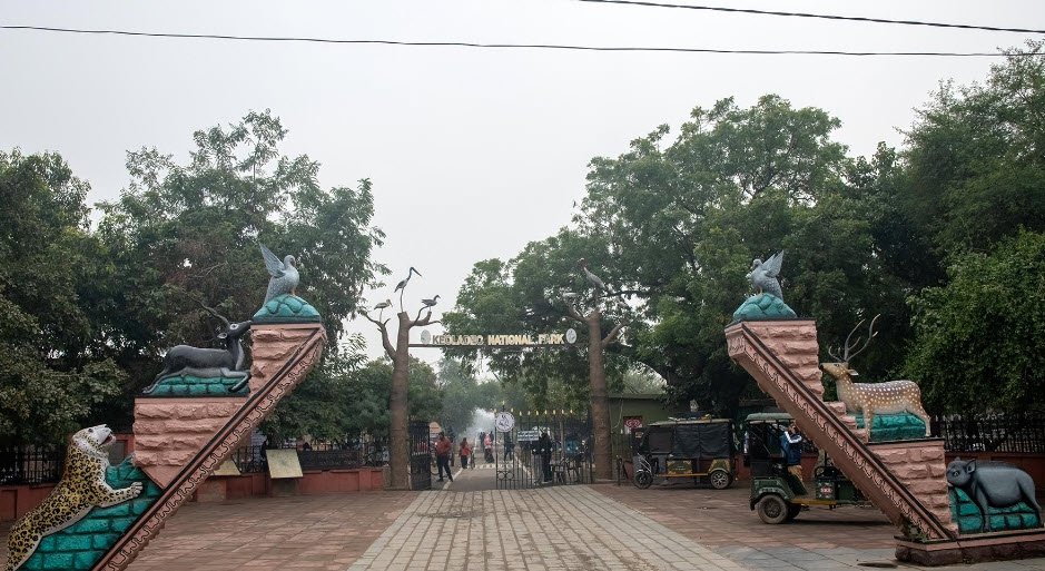 Bharatpur (Keoladeo National Park), Rajasthan